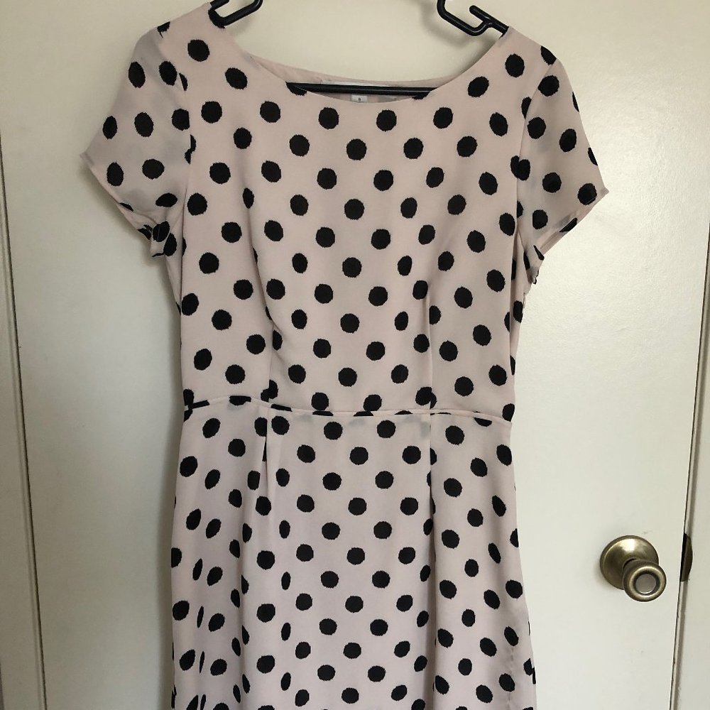 LC Lauren Conrad Polka Dot Dress